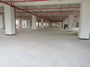 順德食品廠7200平招租,證件齊全,可辦環(huán)評,可分