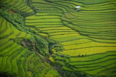 怎么樣!男性吃輔酶q10武漢助孕
